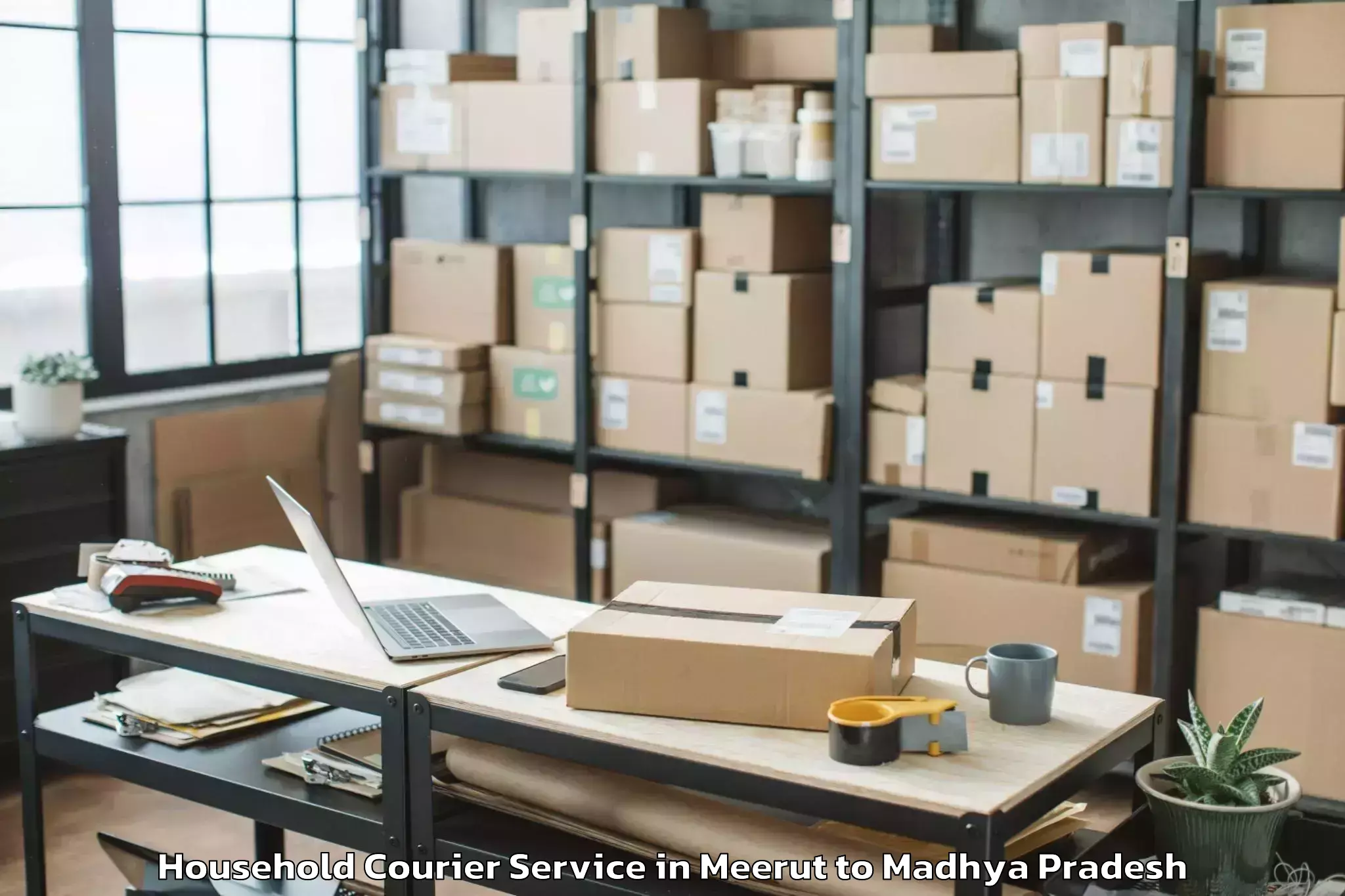 Expert Meerut to Mandla Household Courier